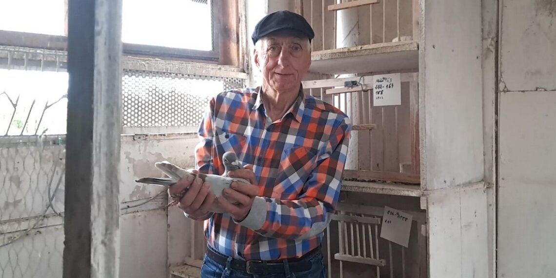 Zajmuje się swoją pasją od ponad 60 lat. Utytułowany hodowca gołębi z Gdyni w audycji „Jestem z Pomorza”