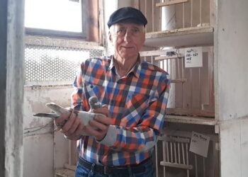 Zajmuje się swoją pasją od ponad 60 lat. Utytułowany hodowca gołębi z Gdyni w audycji „Jestem z Pomorza”