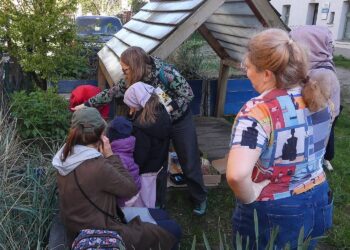 Podwórko to twoja przestrzeń. Na Biskupiej Górce organizowane są warsztaty dbania o wspólną zieleń
