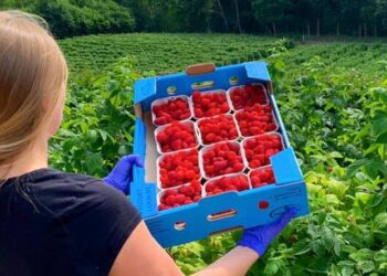 Jedyny taki sklep w Polsce. Odwiedziliśmy „Malinogród” Daniela Wojtyńskiego