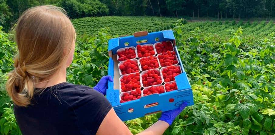 Jedyny taki sklep w Polsce. Odwiedziliśmy „Malinogród” Daniela Wojtyńskiego