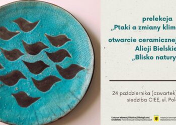 Ceramika i ptaki – zapraszamy ma wernisaż i wykład Alicji Bielskiej