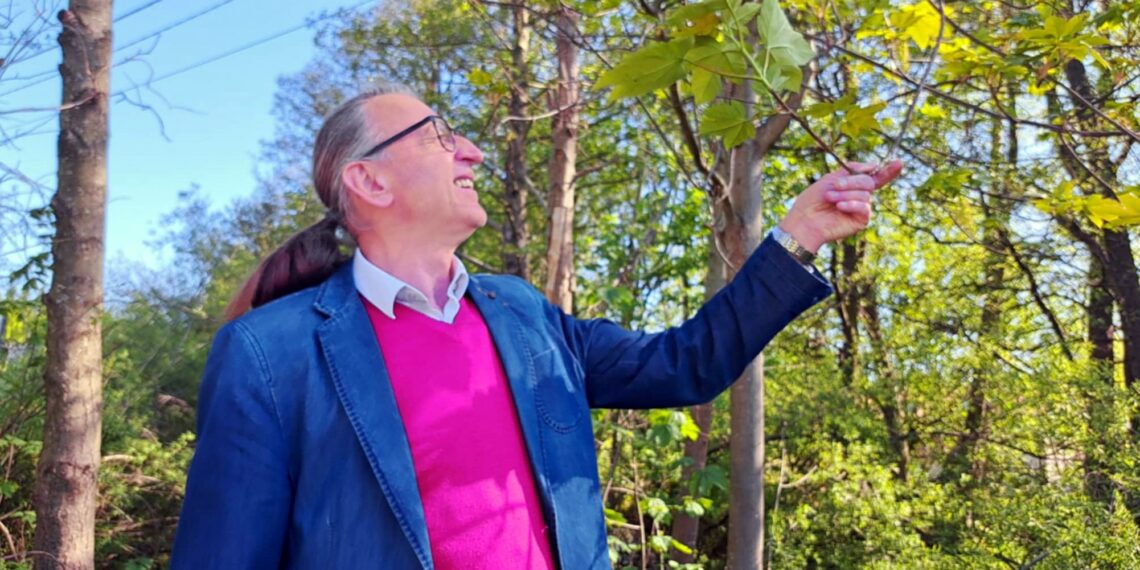 Ile jest pszczół w Polsce i jak się mają? Opowiada Antoni Rzepka