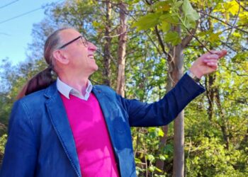 Ile jest pszczół w Polsce i jak się mają? Opowiada Antoni Rzepka