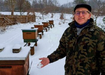Fałszywy miód – jest go w Polsce w bród. Opowieść Antoniego Rzepki