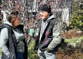 Trochę egzotyki na wyciągnięcie ręki. To nic trudnego, ogród deszczowy można zrobić w weekend