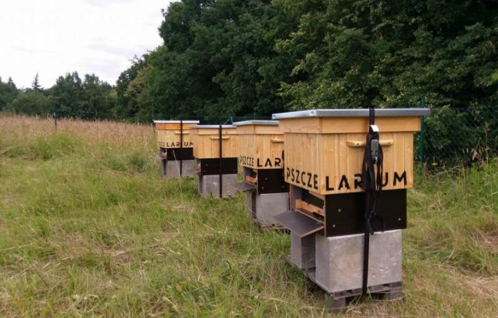 Brawo CH Osowa!!! Przy centrum handlowym powstała pasieka miejska