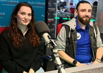 Fokom na plaży najbardziej potrzebny jest spokój