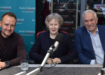 Nowy program dopłat do aut elektrycznych. „To sztuczne regulowanie rynku”