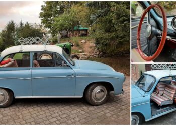 Kultowy polski samochód uwielbiany przez wielu. Syrena bohaterką „AutoCooltury”