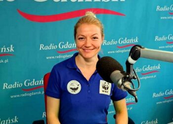 Robiąc nadmorskie wycieczki, uważaj na sieweczki