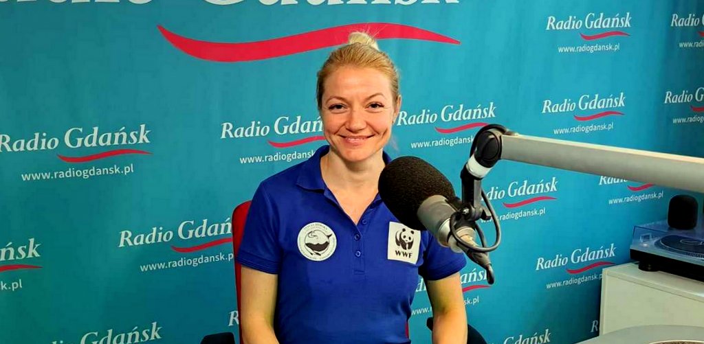 Robiąc nadmorskie wycieczki, uważaj na sieweczki