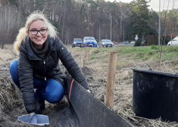 Pomagają płazom przejść na drugą stronę jezdni. Nietypowa akcja gdańskich leśników