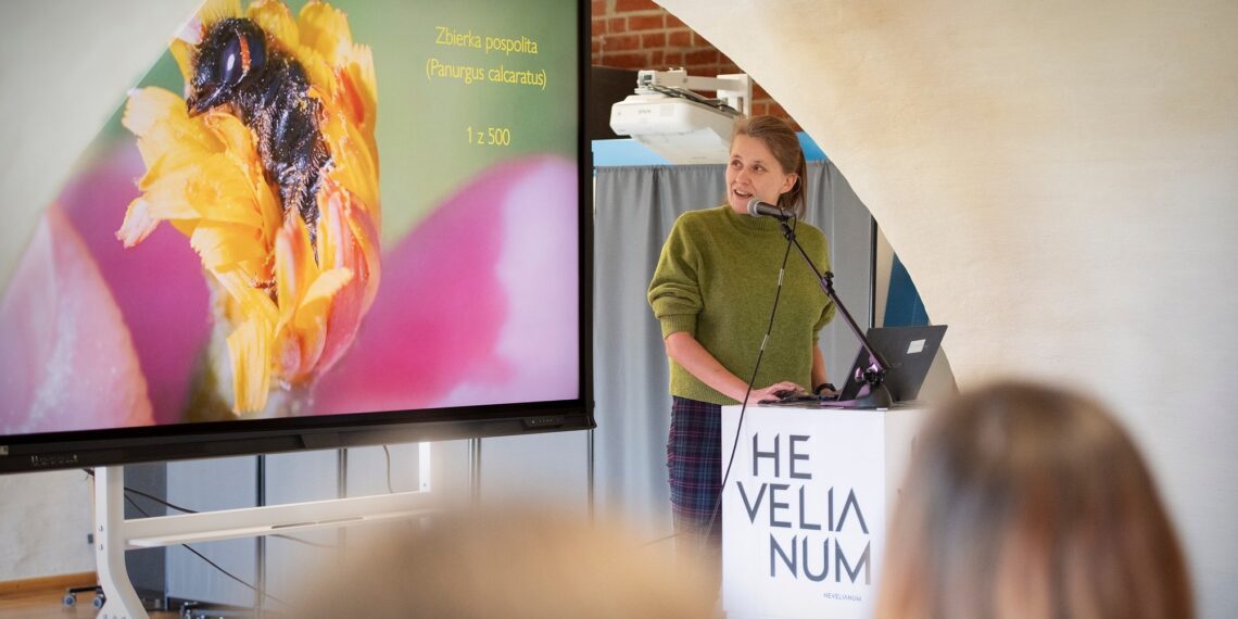 Polska jest przepszczelona! Rozmowa o tym, że mamy za dużo pszczół i za mało pszczół jednocześnie