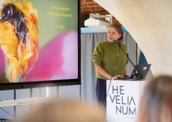 Polska jest przepszczelona! Rozmowa o tym, że mamy za dużo pszczół i za mało pszczół jednocześnie