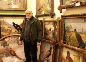 Mocna rzecz. Jak z ptaków zbieranych przy drodze powstają obrazy