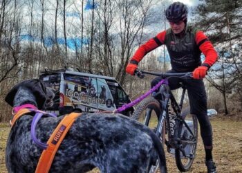 Nie tylko ludzie uciekają przed wojną. Igor Tracz opowiada o akcji ratowania ukraińskich psów