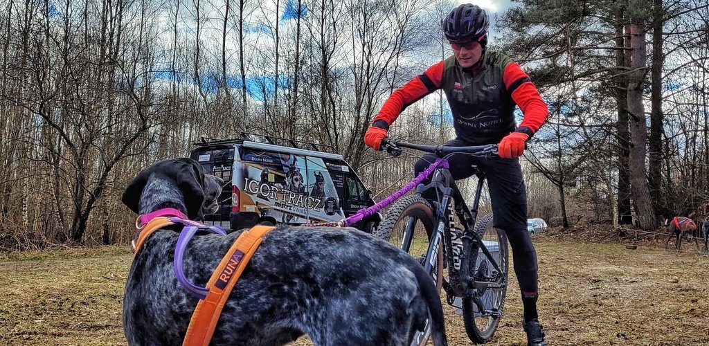 Nie tylko ludzie uciekają przed wojną. Igor Tracz opowiada o akcji ratowania ukraińskich psów