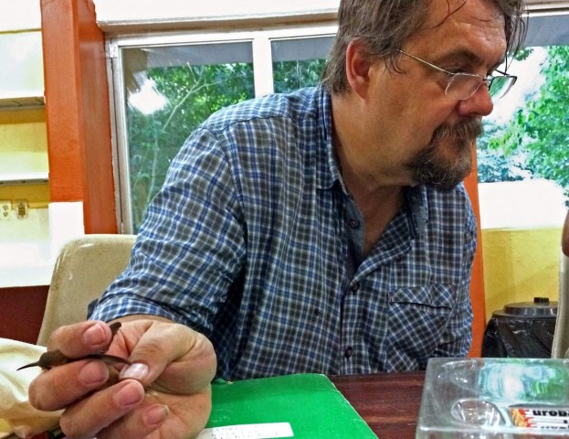 Jarosław Nowakowski-001