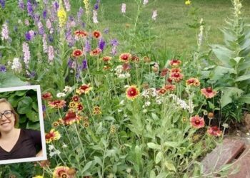 Ogródki, nawet te pod oknem bloku, mają swoją moc