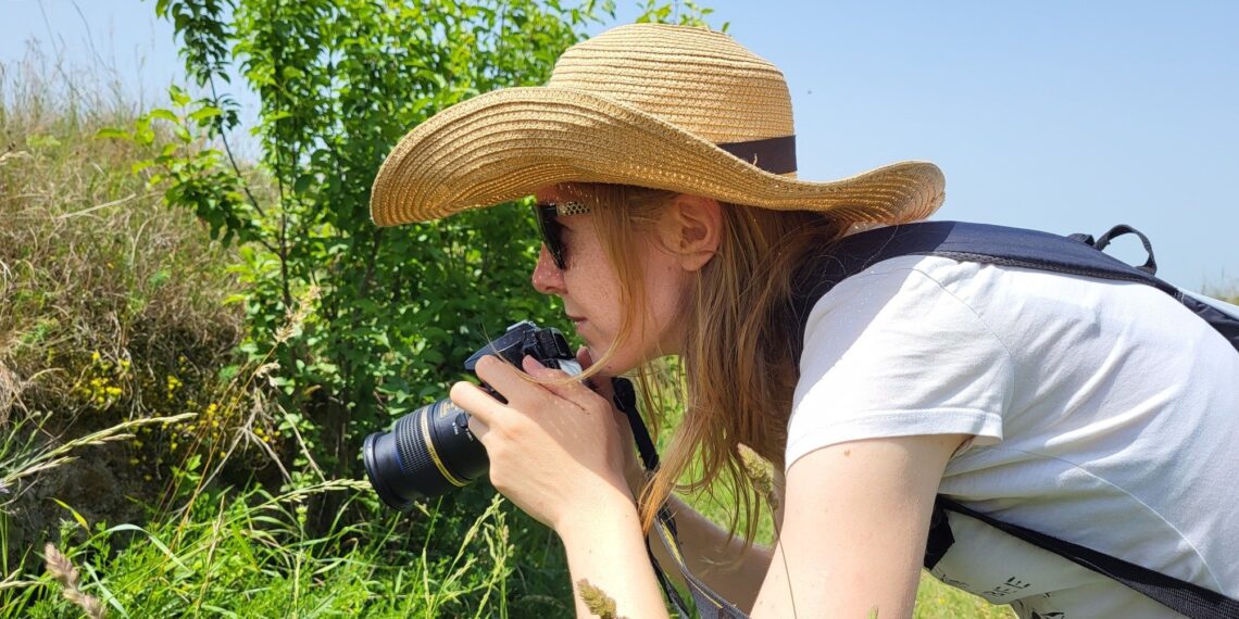 Pszczołom często pomagamy bez sensu: lepiej już nic nie robić, przyroda lubi bałagan
