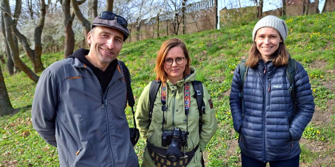 Dzikie pszczoły i Dzikie Trójmiasto – konferencja aktywistów niebawem