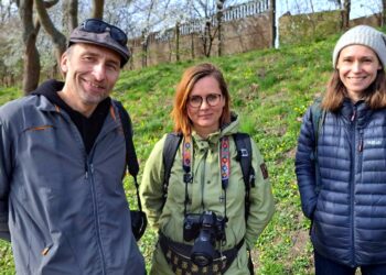 Dzikie pszczoły i Dzikie Trójmiasto – konferencja aktywistów niebawem