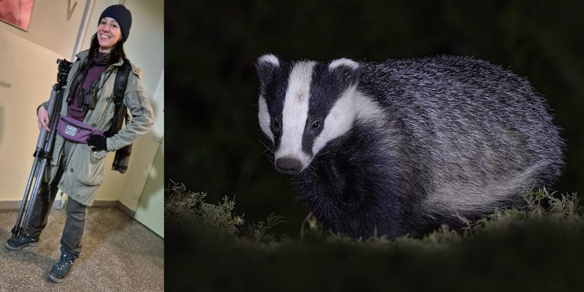 Zaciesz Katarzyny Skakuj po udanym dziczeniu na borsuka