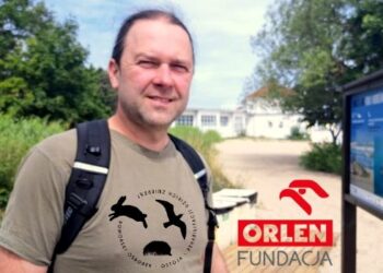 Ostojowe opowieści o ptakach. W jaki sposób szkodzi im nasza nadwrażliwość?