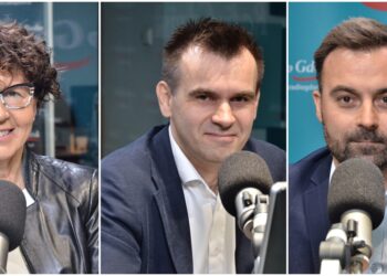 Zmiana przepisów o ochronie sygnalistów. Eksperci: „Takie osoby wciąż mogą być uważane za donosicieli”