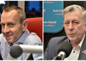 Bocian ukarany za koszty udzielanych pożyczek. Eksperci: „Żerują na podbramkowych sytuacjach”