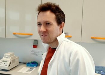 To nie wataha wilków a jeden pies zagryzł kilkanaście danieli? Naukowcy nie mają wątpliwości