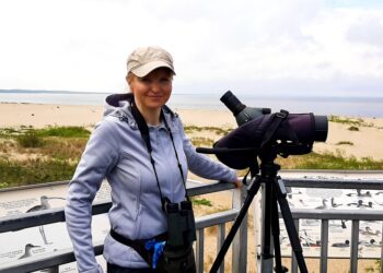 Ujście Wisły. Wycieczka z opowieścią o ptakach i fokach jest dla każdego