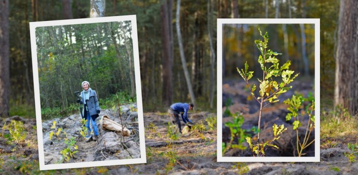 Wyczesali las i stworzyli kalendarz, który zasadził 2020 drzew w 2020 roku. Finał akcji