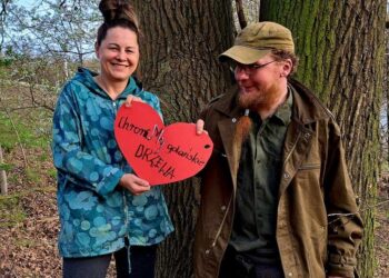 Rozmowa o przyrodzie, historii, emocjach i akcji „Chrońmy gdańskie drzewa”