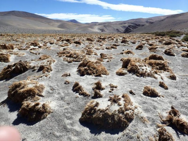 Nevado Ojos del Salado3