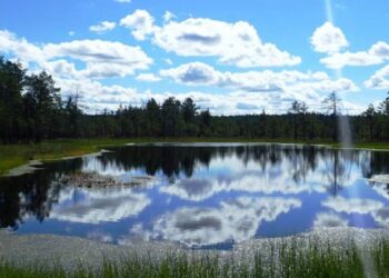 Co powiecie na wakacje na Łotwie lub w Estonii? Warto – mówi Rafał Król