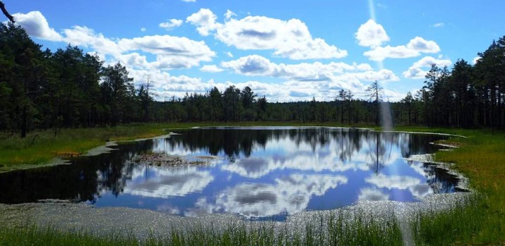 Co powiecie na wakacje na Łotwie lub w Estonii? Warto – mówi Rafał Król