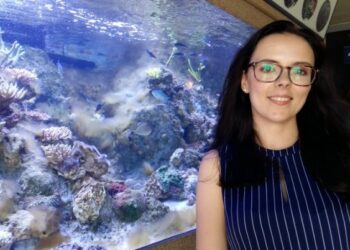 Dzień Oceanu w Akwarium Gdyńskim