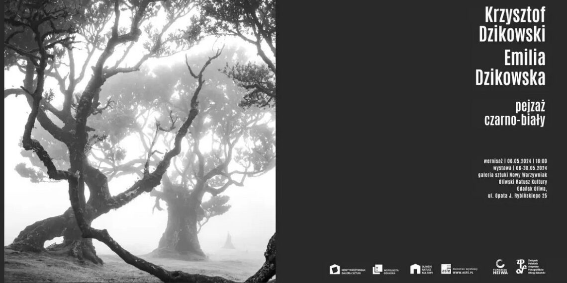 Pejzaż czarno-biały. Rozmowa o fotografiach, które pozostawiają miejsce na domysły i wyobrażenia