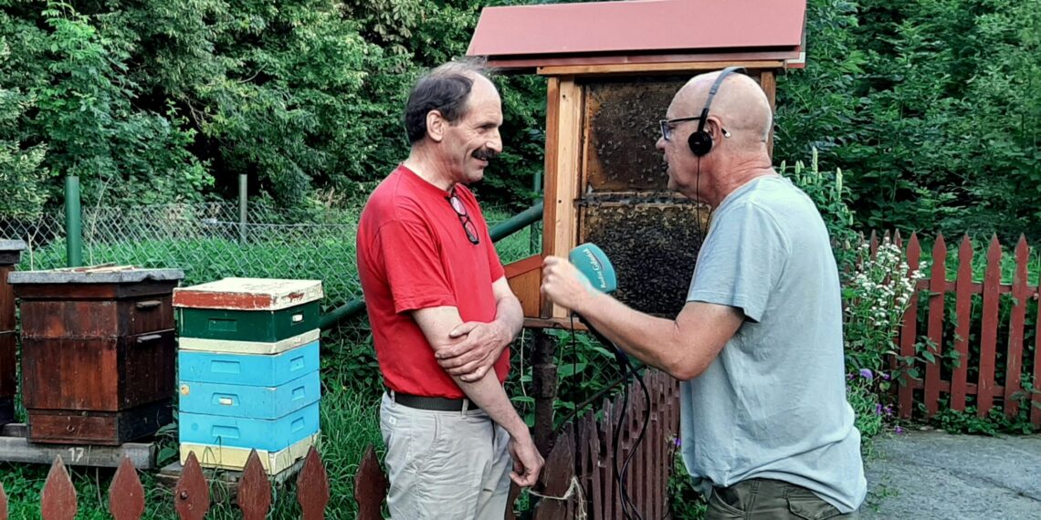 Pszczoły reagują na zmiany klimatu. W tym roku zbiory będą mniejsze