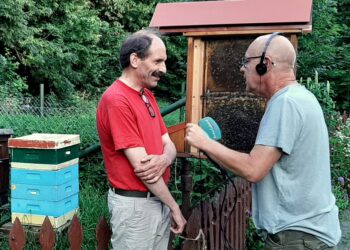 Pszczoły reagują na zmiany klimatu. W tym roku zbiory będą mniejsze