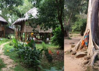 WWOOFing czyli praca na eko farmach. To sposób na tanie, egzotyczne wakacje, dla Agnieszki to sposób na życie