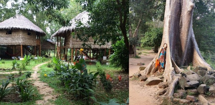 WWOOFing czyli praca na eko farmach. To sposób na tanie, egzotyczne wakacje, dla Agnieszki to sposób na życie