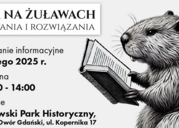 Bóbr na Żuławach – wyzwania i rozwiązania