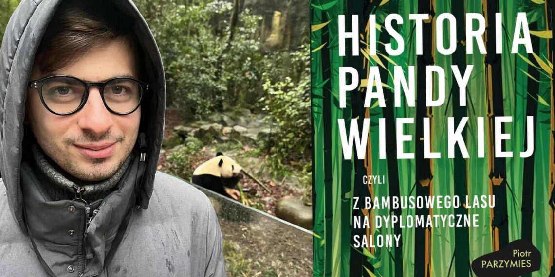 Historia pandy wielkiej, czyli z bambusowego lasu na dyplomatyczne salony
