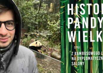 Historia pandy wielkiej, czyli z bambusowego lasu na dyplomatyczne salony