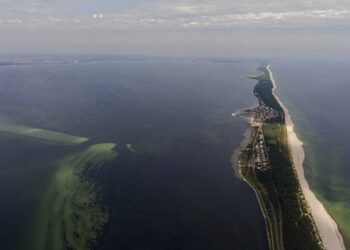 Mamy skarb zupełnie niewykorzystany. To ptaki, które mogą ściągnąć pieniądze i turystów