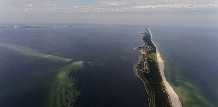 Mamy skarb zupełnie niewykorzystany. To ptaki, które mogą ściągnąć pieniądze i turystów