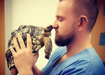 Ma węże z Biedronki i z lasu. Przemysław Łuczak zakłada azyl dla gadów